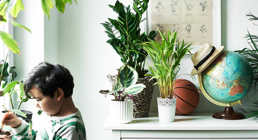 Ikea-show-kids-how-fun-it-is-to-grow-plants-at-home1364318662560-s5_49d6abc8_1060x575