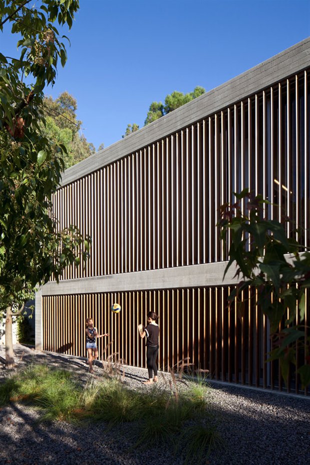 8. Láminas de madera