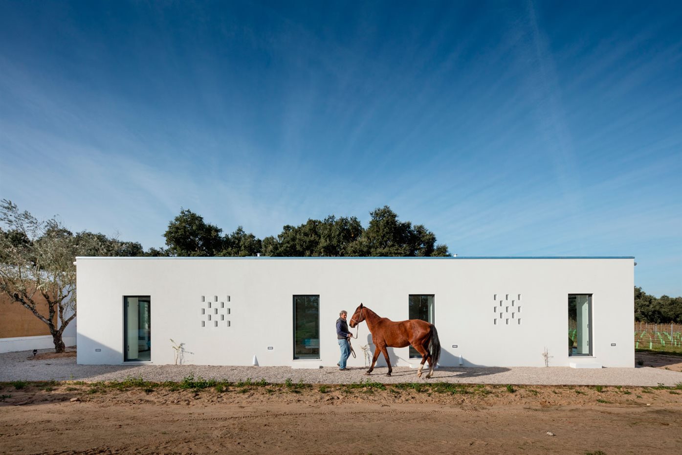 JM Casa Vinha 057. La construcción, concebida como un sencillo volumen apaisado, intenta interferir lo mínimo en el paisaje de alcornoques y viñas que la rodean
