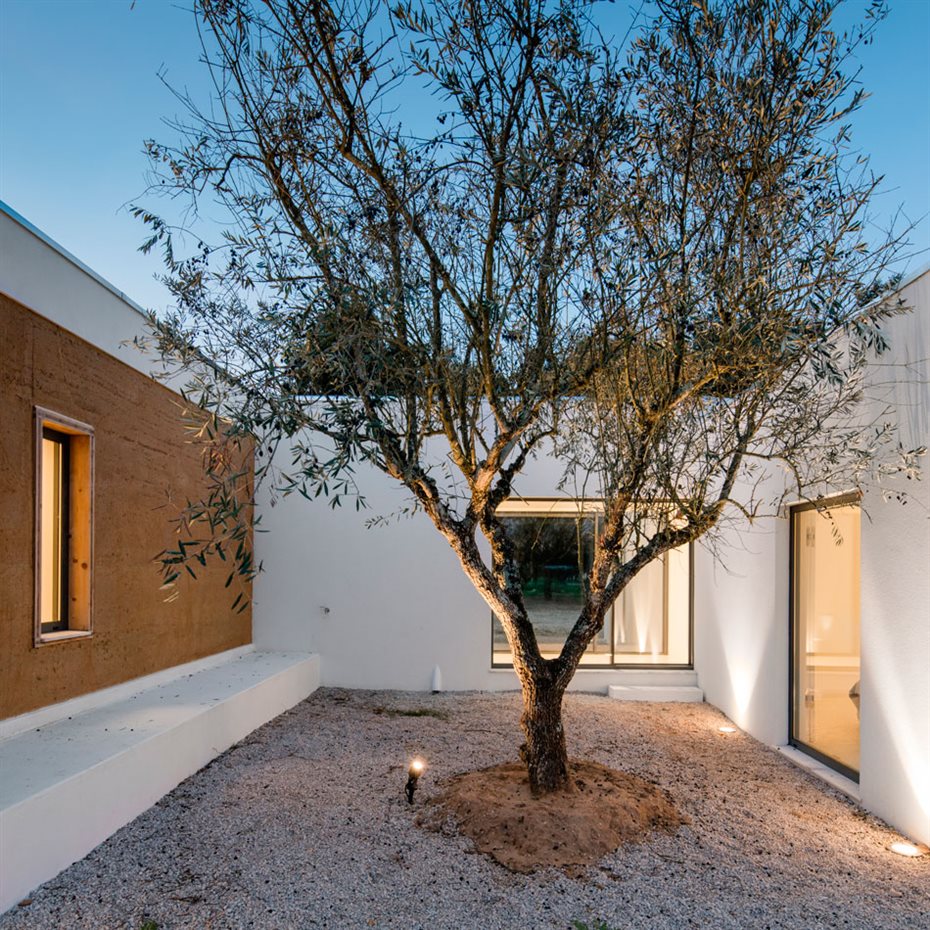 JM Casa Vinha 150. Un joven y solitario alcornoque preside el patio de mayor tamaño en el punto de intersección de la zona común con exterior de tierra y los dormitorios, con fachada blanca
