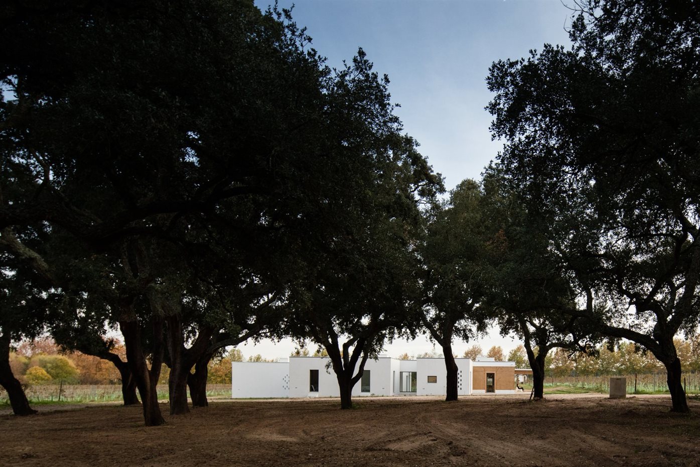 A la sombra de encinas. El paisaje circundante apenas se ha alterado
