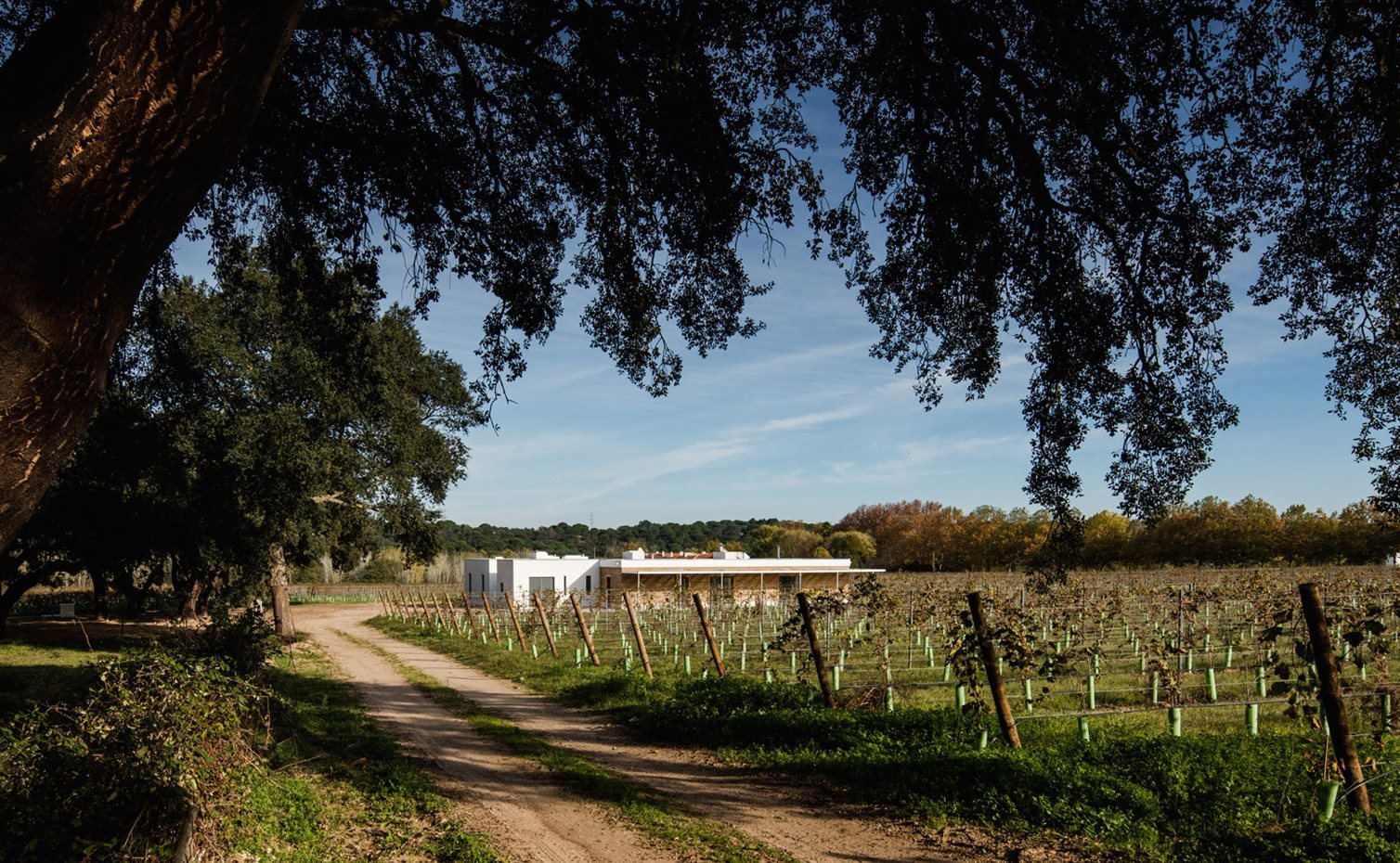 Entre viñedos. La casa se encuentra en una zona rural en el margen opuesto del Tajo que Lisboa