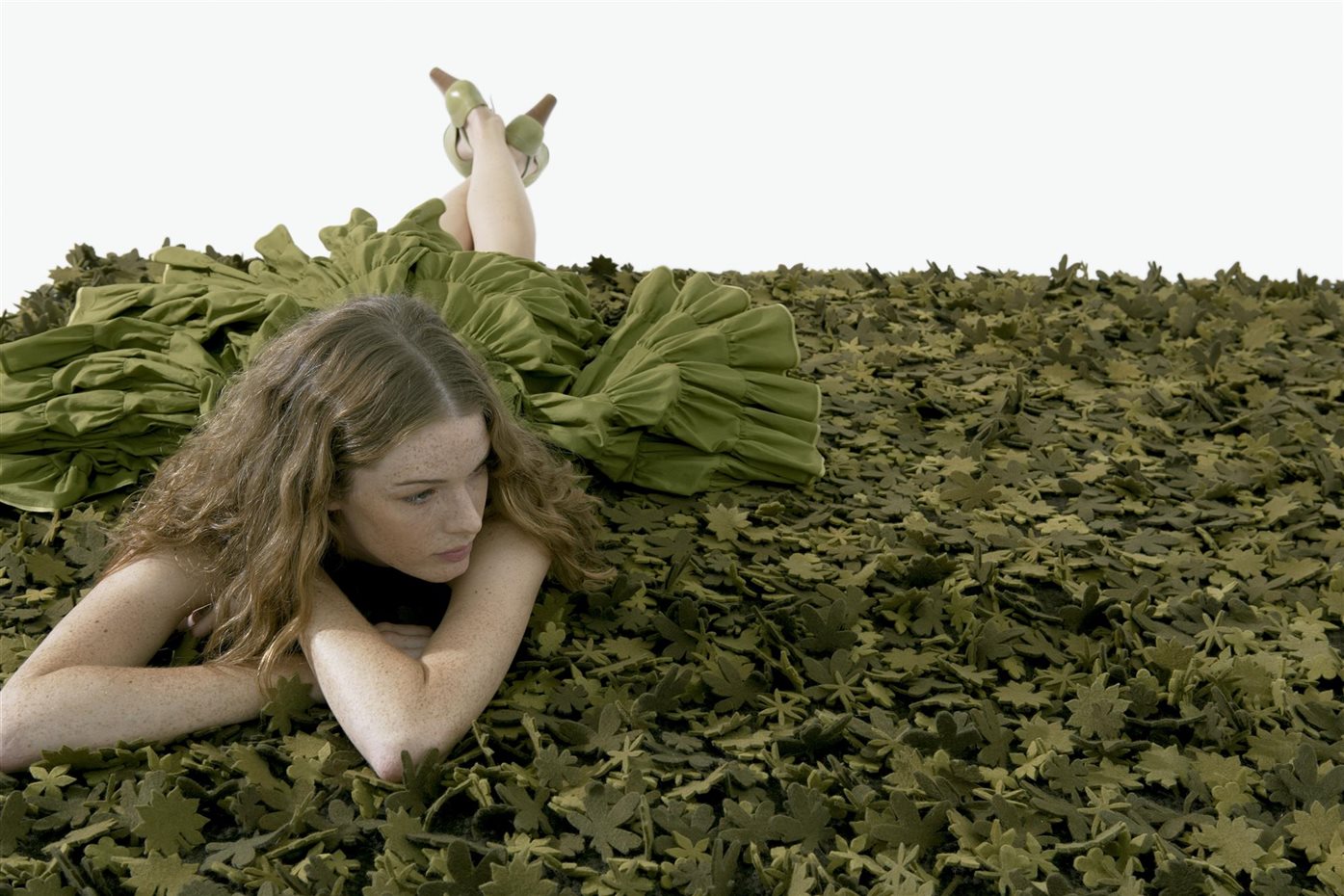 Little Field of Flowers (2007)