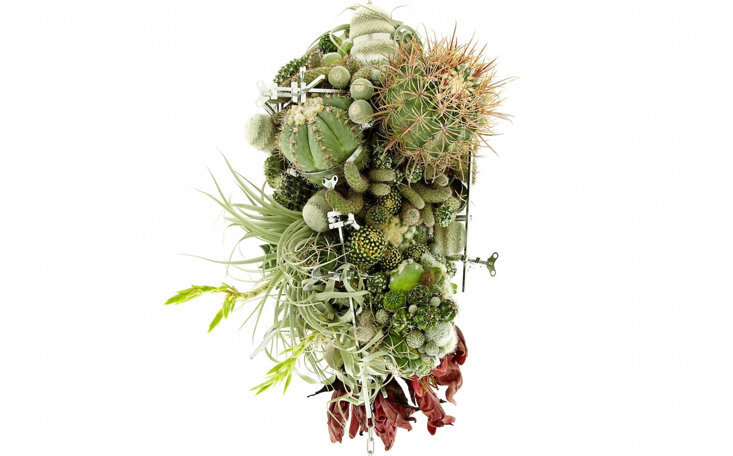 azuma6. Escultura botánica #3 lump (2011)