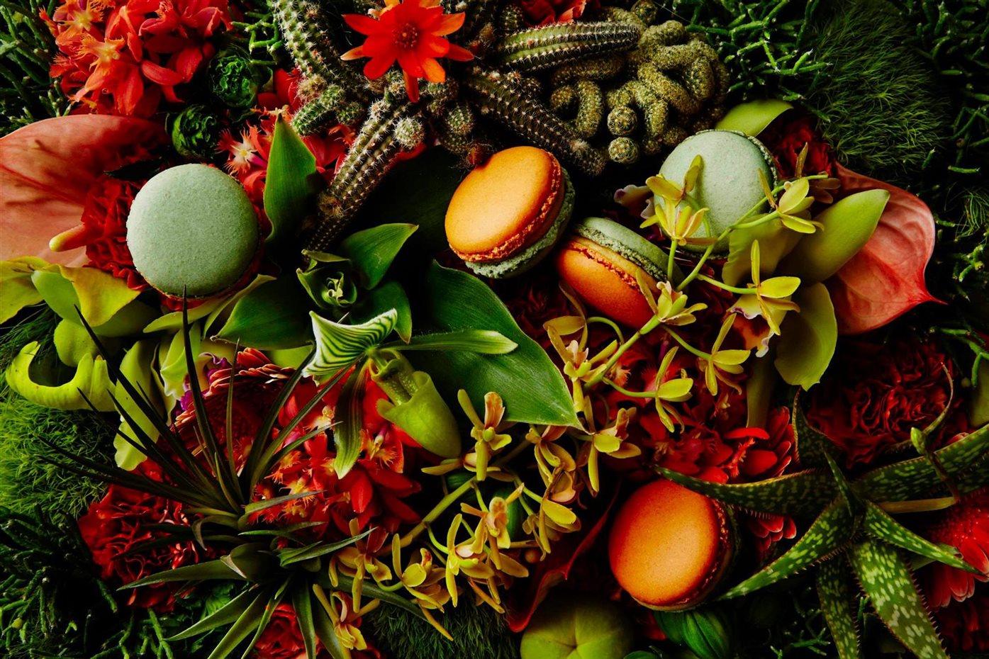 Colaboración con Pierre Hermé Les Jardins (2015)