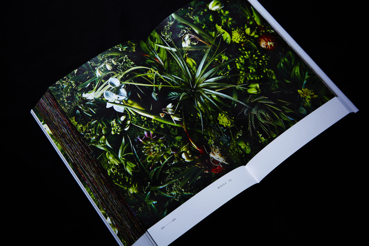 Encyclopedia of Flowers, Lars Müller Publishers (2012) 