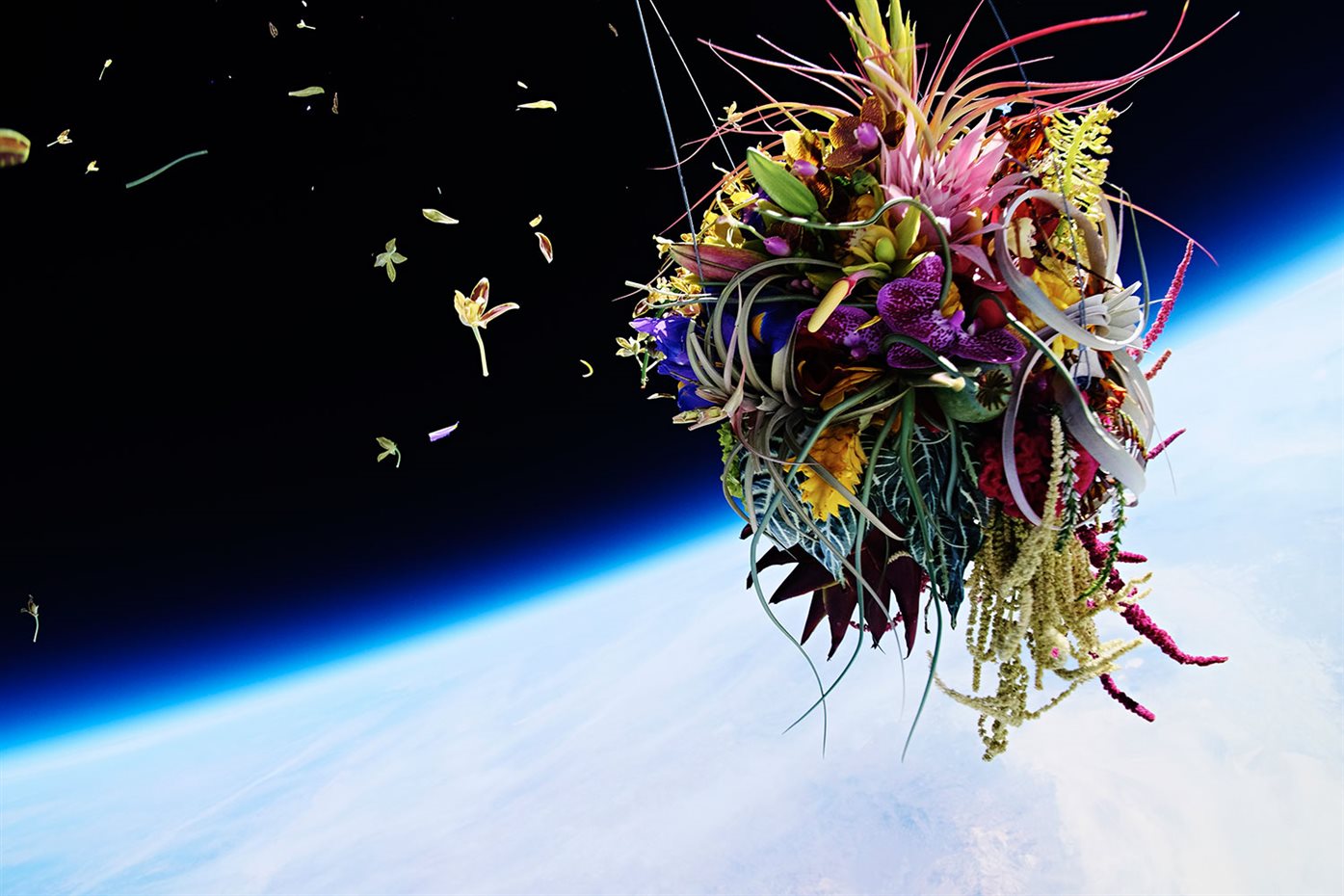 Exobiotanica (2014)