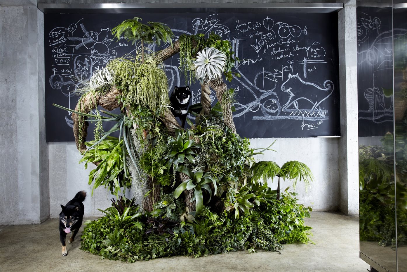 Green house (2013). Green house (2012)