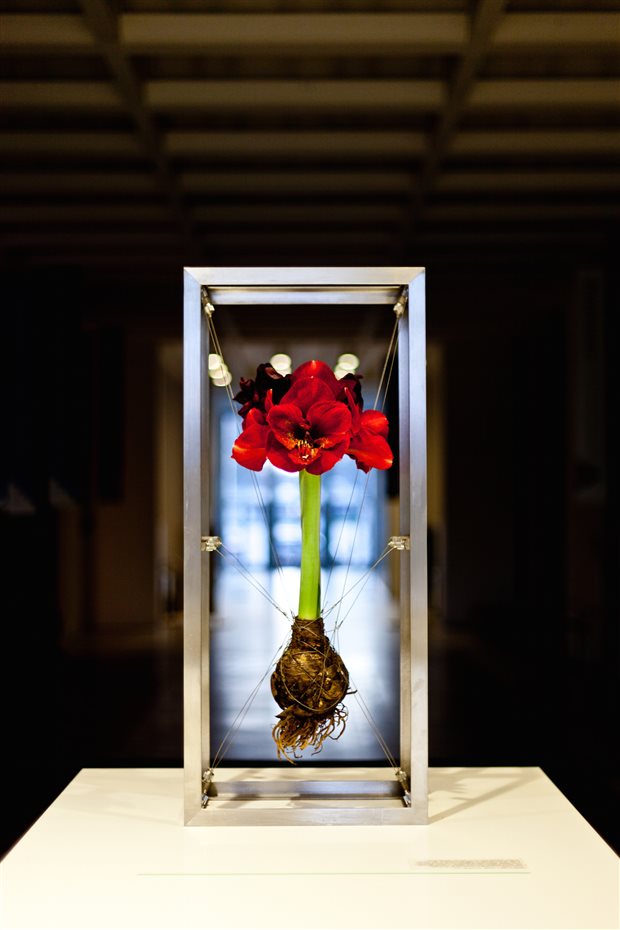 Instant Design. Triennale Design Museum, Milán (2011)