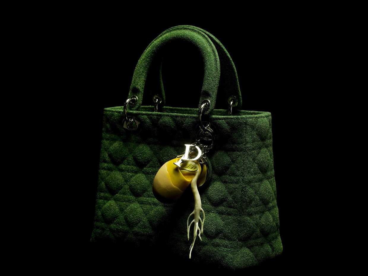 Lady Dior (2012)