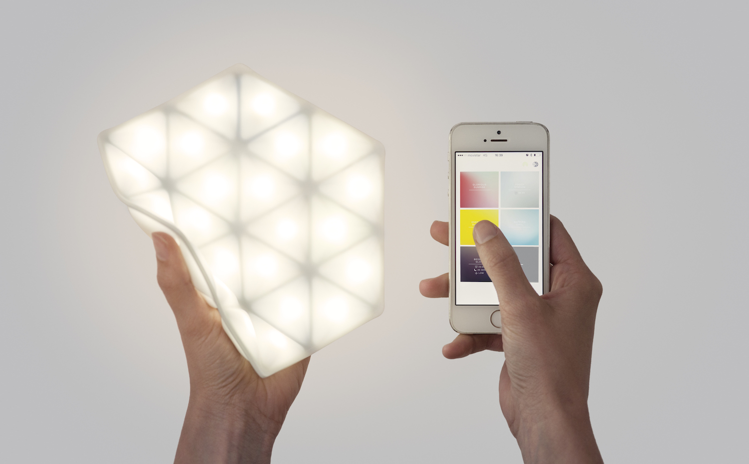 Kangaroolight . Complemento perfecto