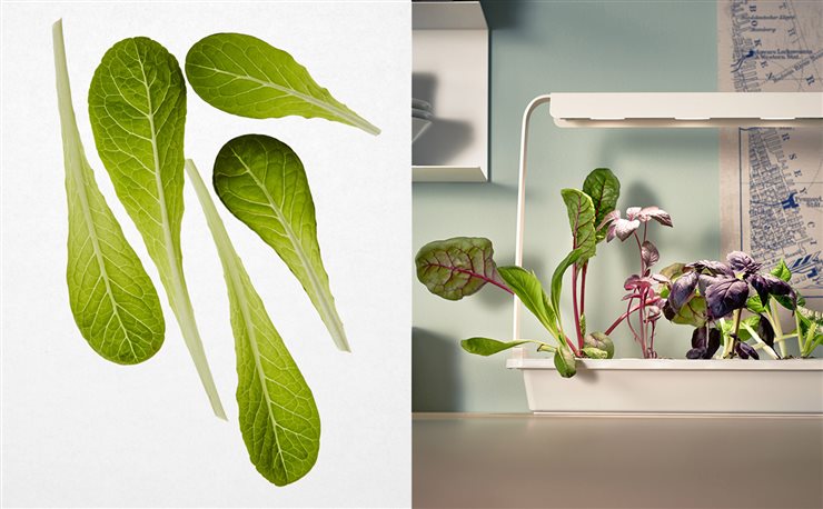 La serie Växer de Ikea se amplía ahora con un módulo de iluminación para los accesorios de cultivo