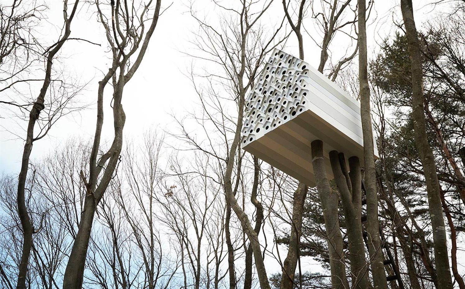 Bird-Apartment para la fundación Ando (2012)
