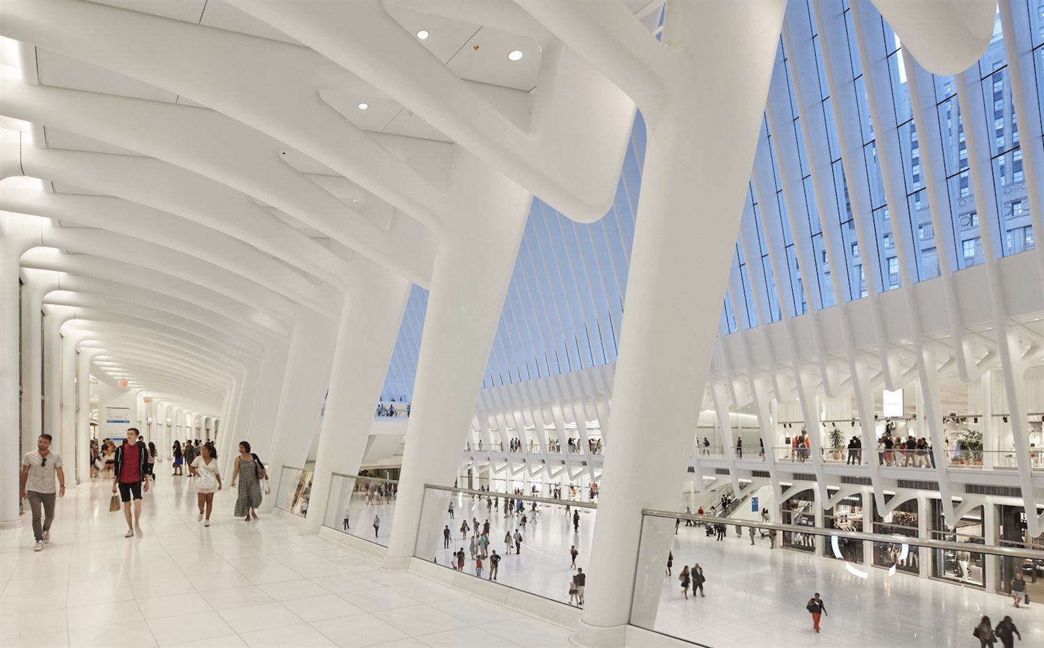 WTC Transportation Hub, de Santiago Calatrava