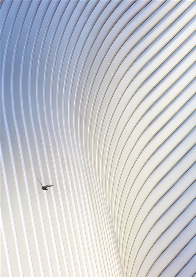 WTC Transportation Hub, de Santiago Calatrava