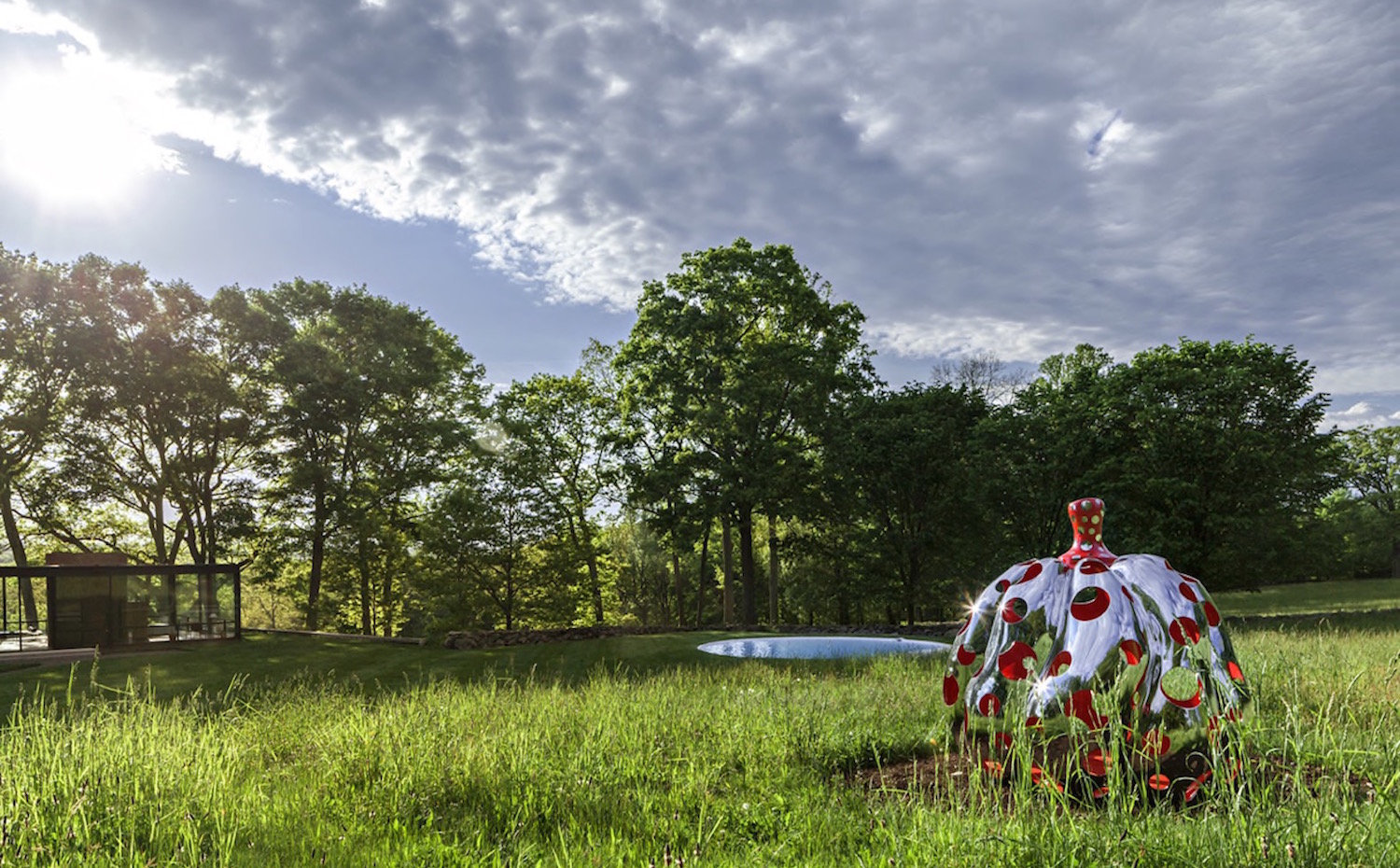 Instalación de Yayoi Kusama en la Glass House de Philip Johnson