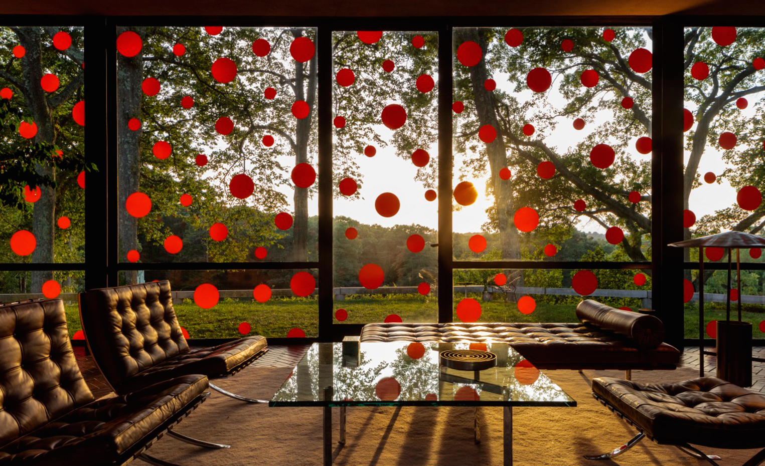 Instalación de Yayoi Kusama en la Glass House de Philip Johnson