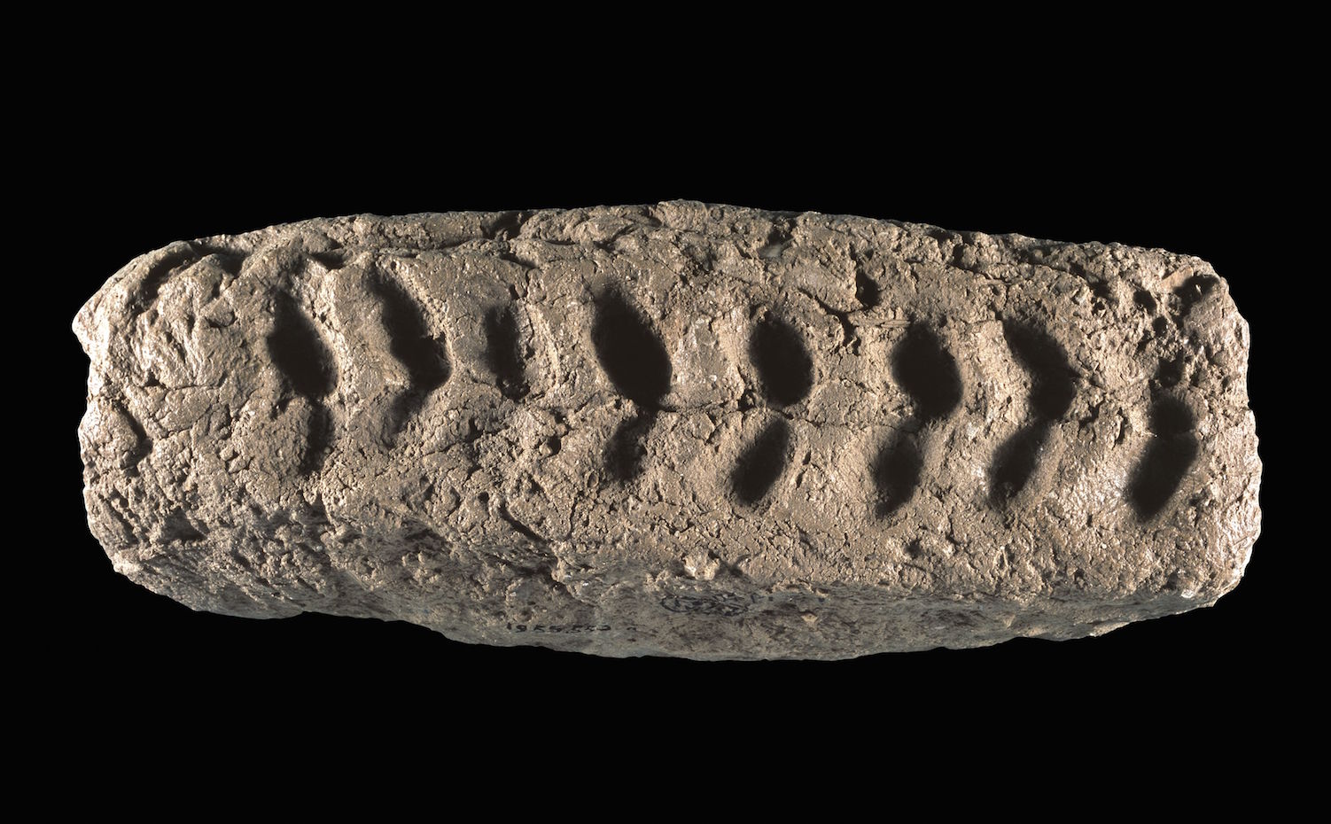 Uno de los primeros ladrillos de la historia (Jericó, Palestina, hacia 12.000  a.C.). Exposición Museo del Disseny de Barcelona 