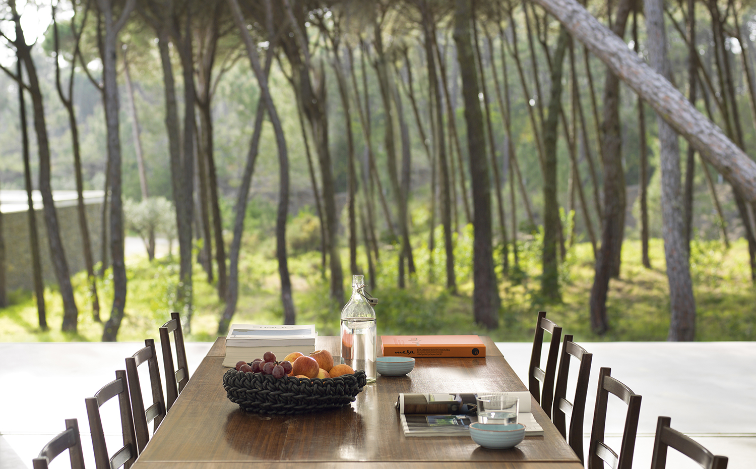 00383021 ok. En el interior, los espacios se despliegan con amplitud, bañados por la intensa luz natural y las relajantes vistas del bosque, poblado por pinos estilizados