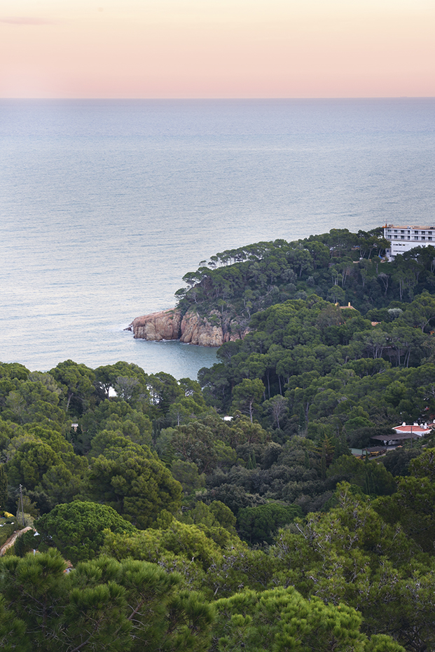 La casa se asoma a un paisaje de pinos robustos, suaves acantilados y una cala de aguas turquesas y transparentes