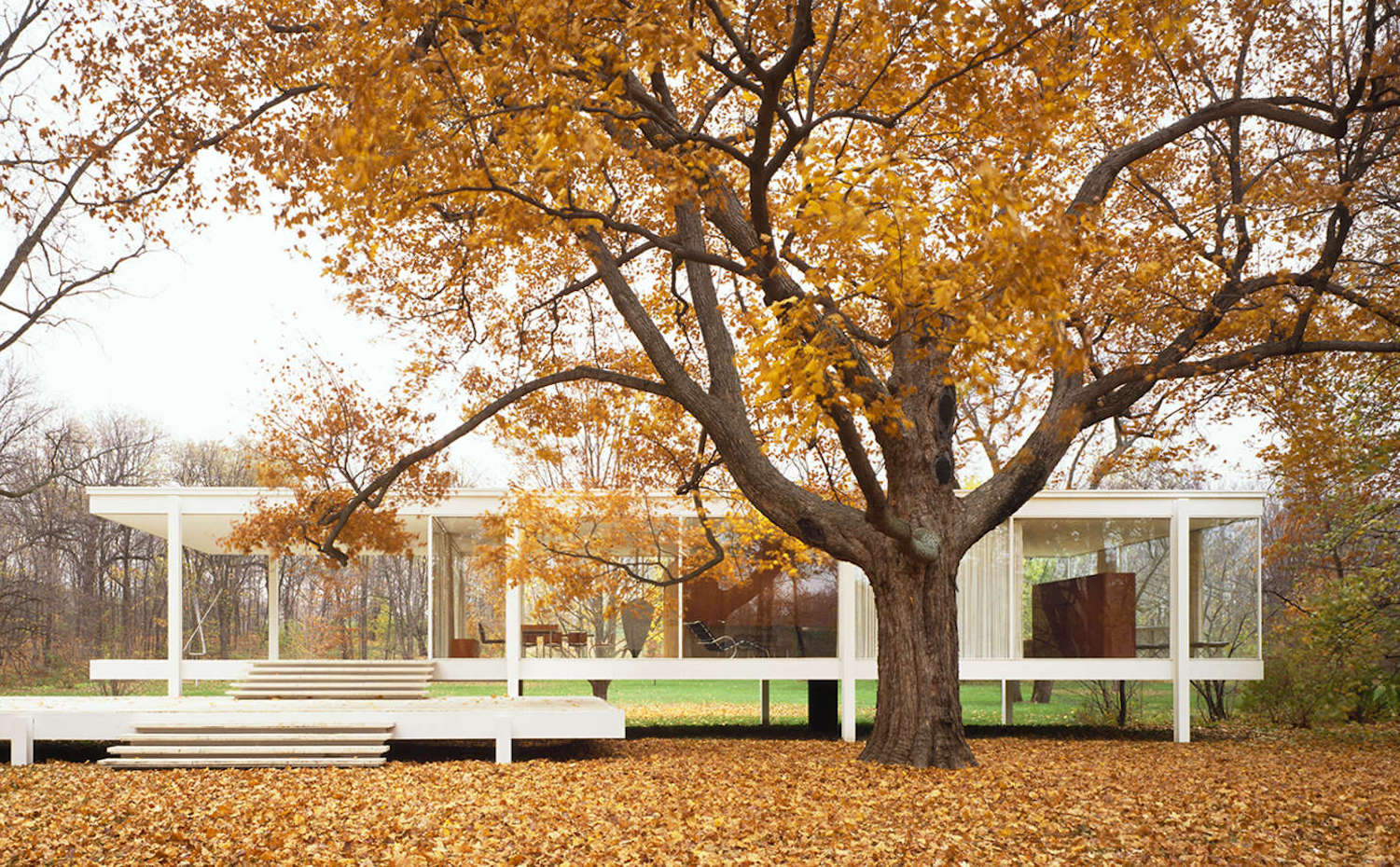 Casa Fansworth. [08] Casa Farnsworth