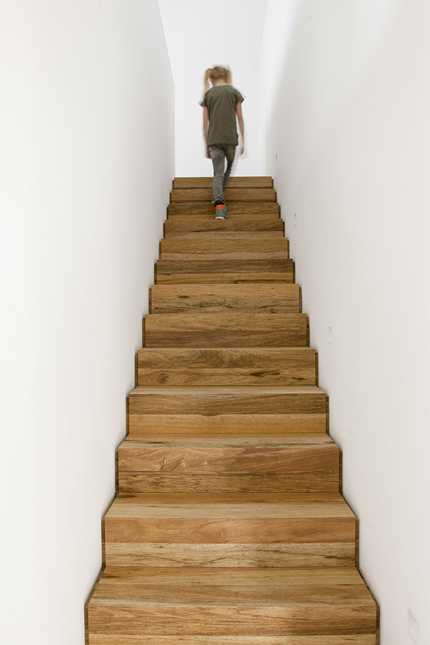 00409923 ok. La escalera de acceso al nivel superior transcurre encajonada entre dos volúmenes blancos que resaltan la materialidad de los peldaños de madera