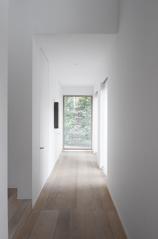 TK Residence A 9 bis. Las entradas de luz dejan que la naturaleza tome fuerza en la casa y el verde contraste en espacios como este pequeño rincón