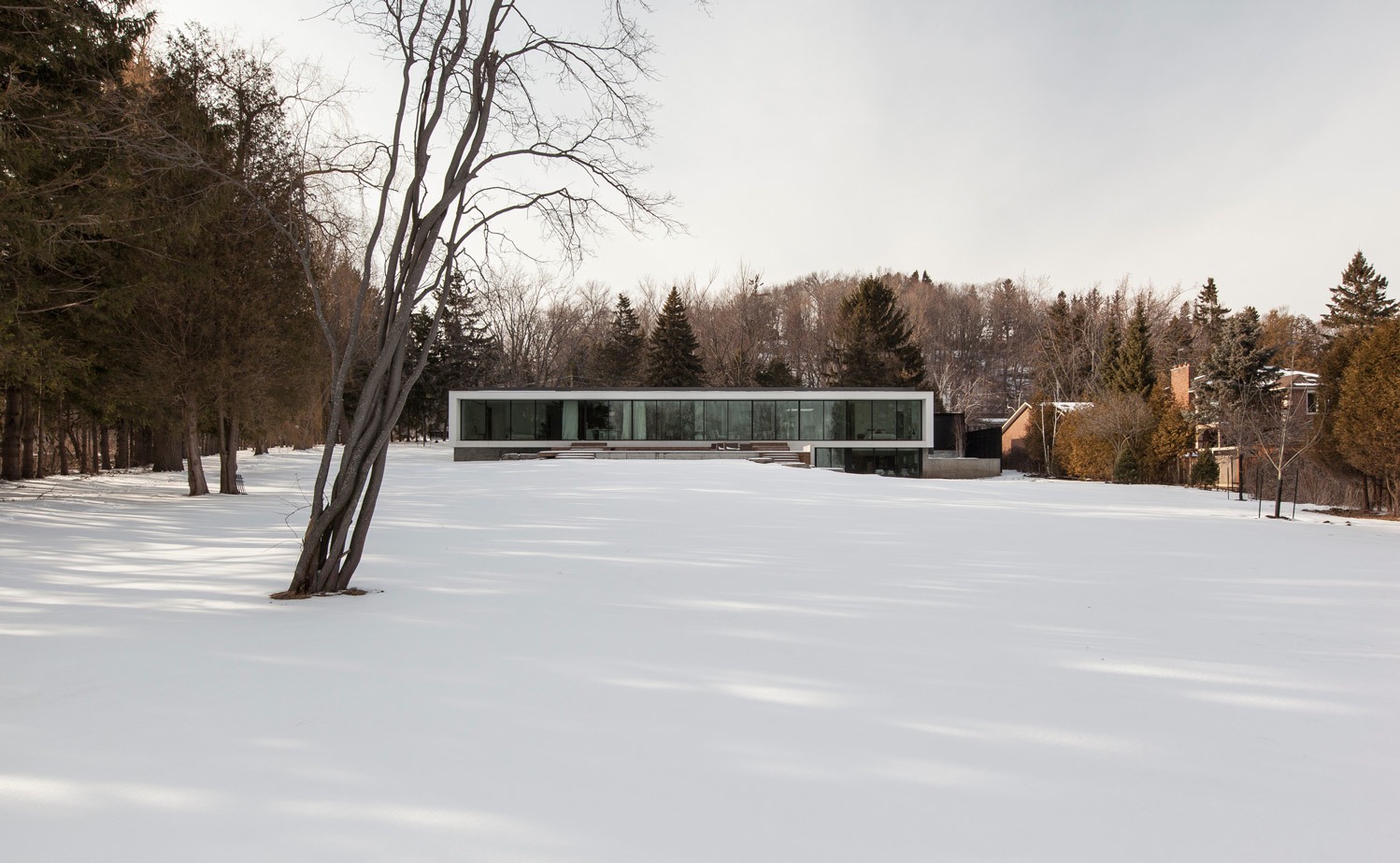 Opposite-House-01. En la cara sur, asomada al lago, la casa presenta una fachada continua de cristal de tres metros de altura envuelta en una estructura ligera de estuco blanco