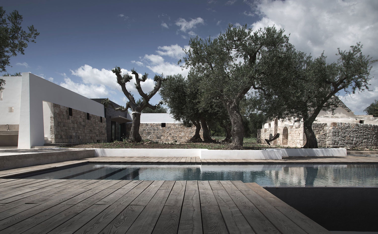 jmg house1. Los olivos originales de la finca no se tocaron al levantar la nueva edificación