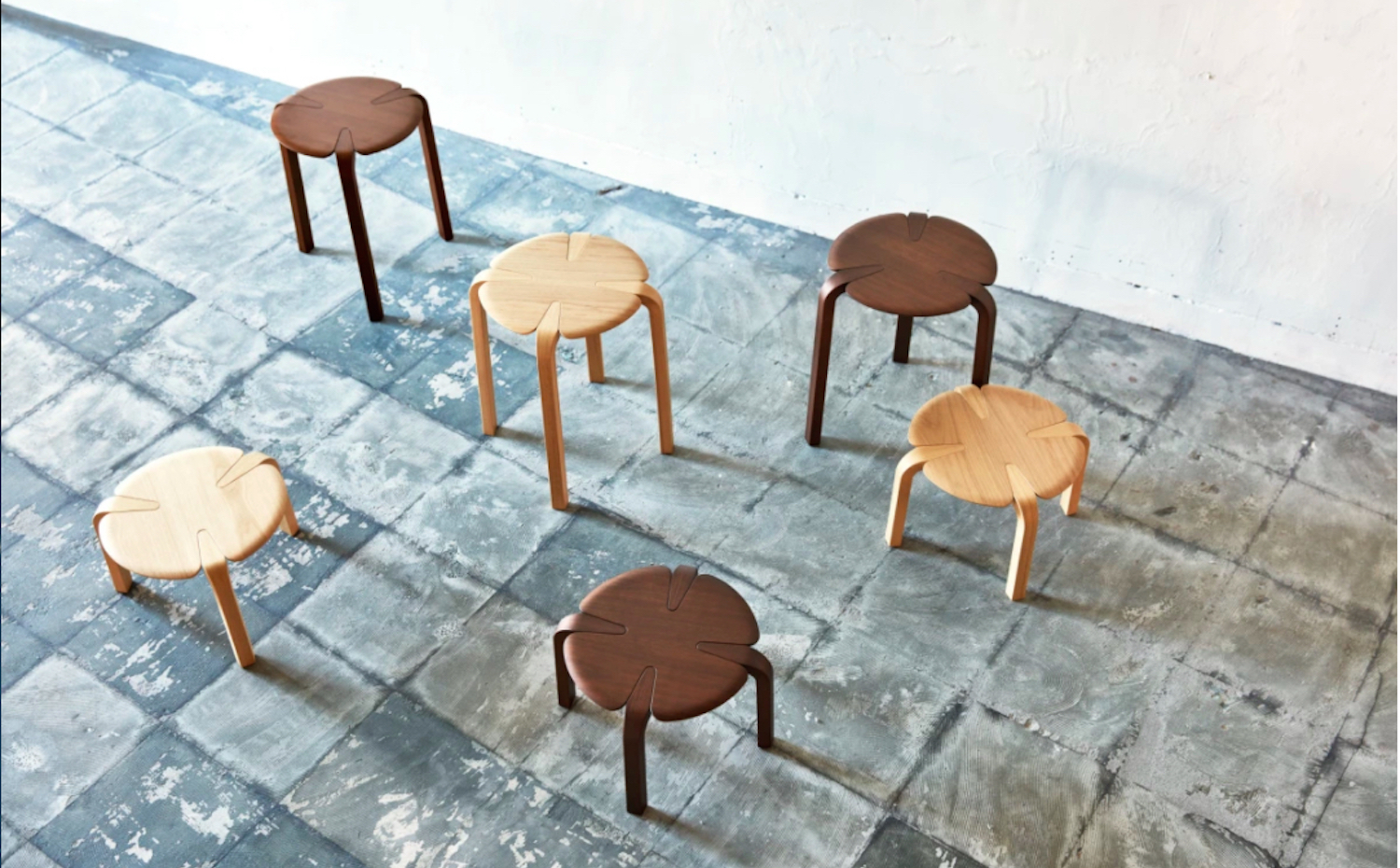 taiyou3. Taburete Clover en madera de roble y nogal