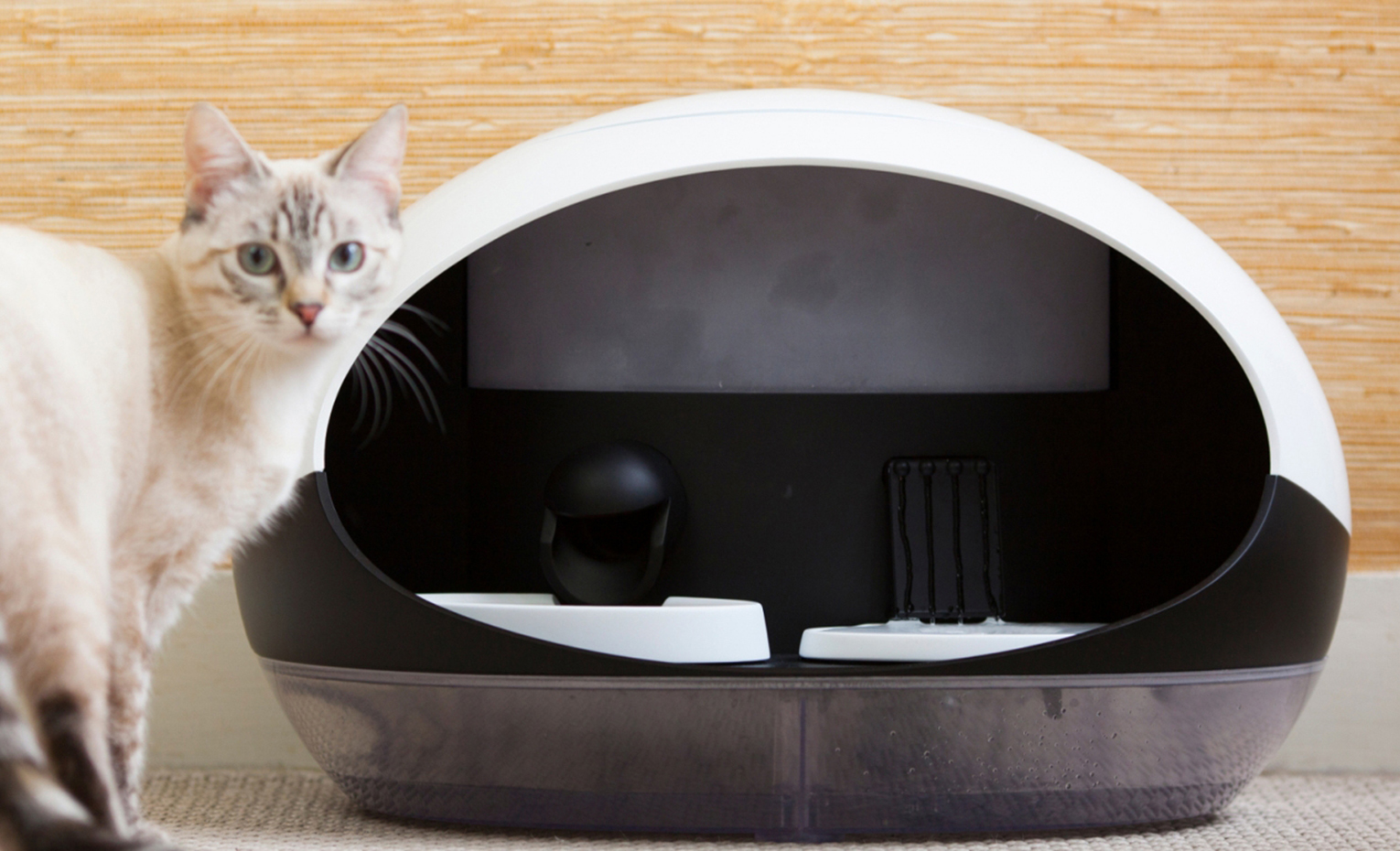 catspad-smart-cat-feeder. [04] Independencia gatuna