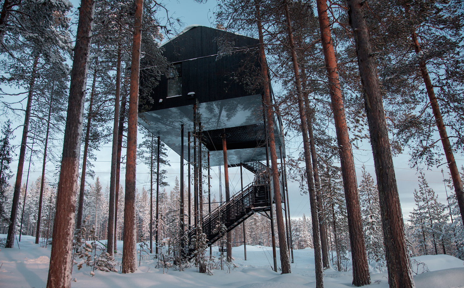 treehotel1. La cabaña se levanta sobre doce postes carbonizados. Un pino la atraviesa por medio