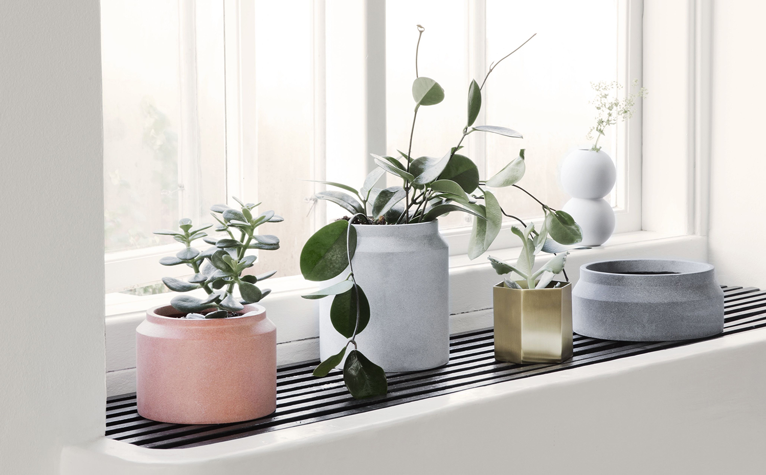 feat1. Plantas y colores neutros. Maravillosa combinación a juego con el estilo de vida 'lagom'