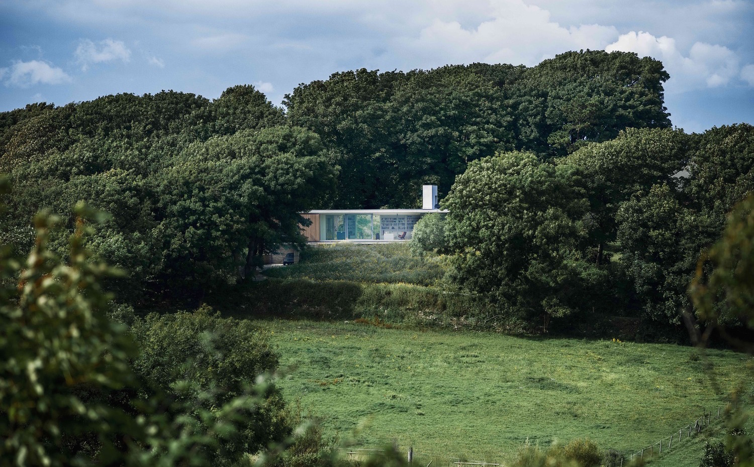 StromArchitects TheQuest MartinGardner 10. La casa se camufla entre árboles frente a un parque natural vecino