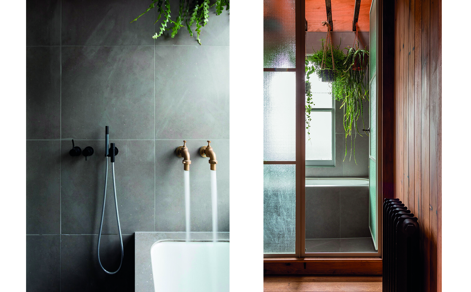 mosaico-1. La humedad de la sala de baño 'riega' las plantas