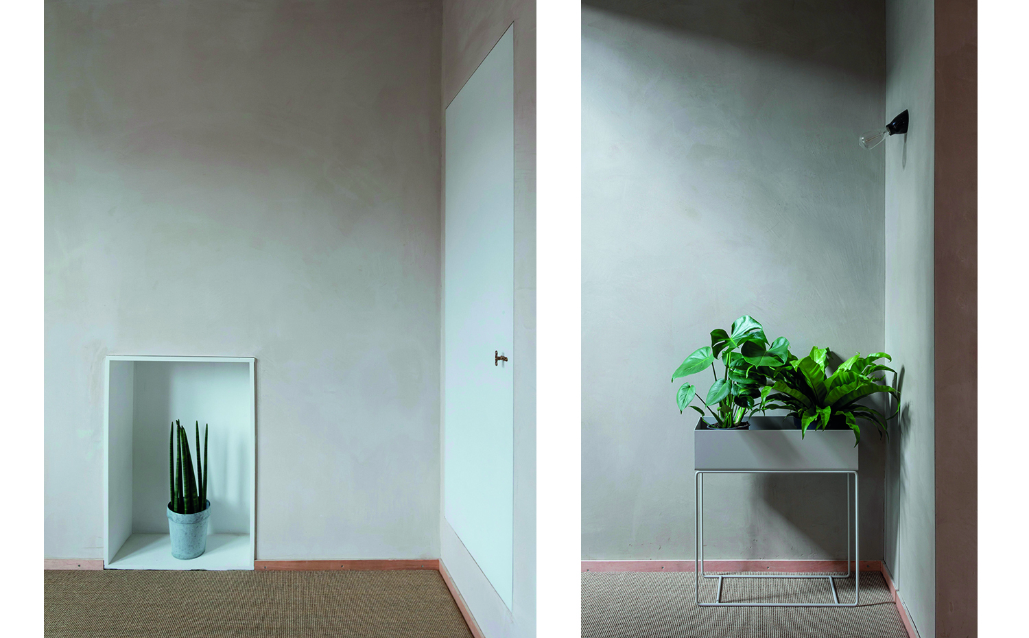 mosaico3. Las plantas son otras de las protagonistas de la vivienda