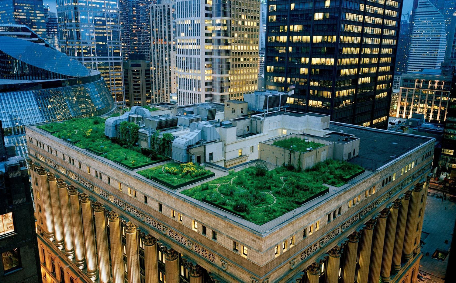 chicago-illinois-usa-green-roof-city-hall. Cubierta vegetal del ayuntamiento de Chicago, de la firma Conservation Design Forum en colaboración con el arquitecto William McDonough