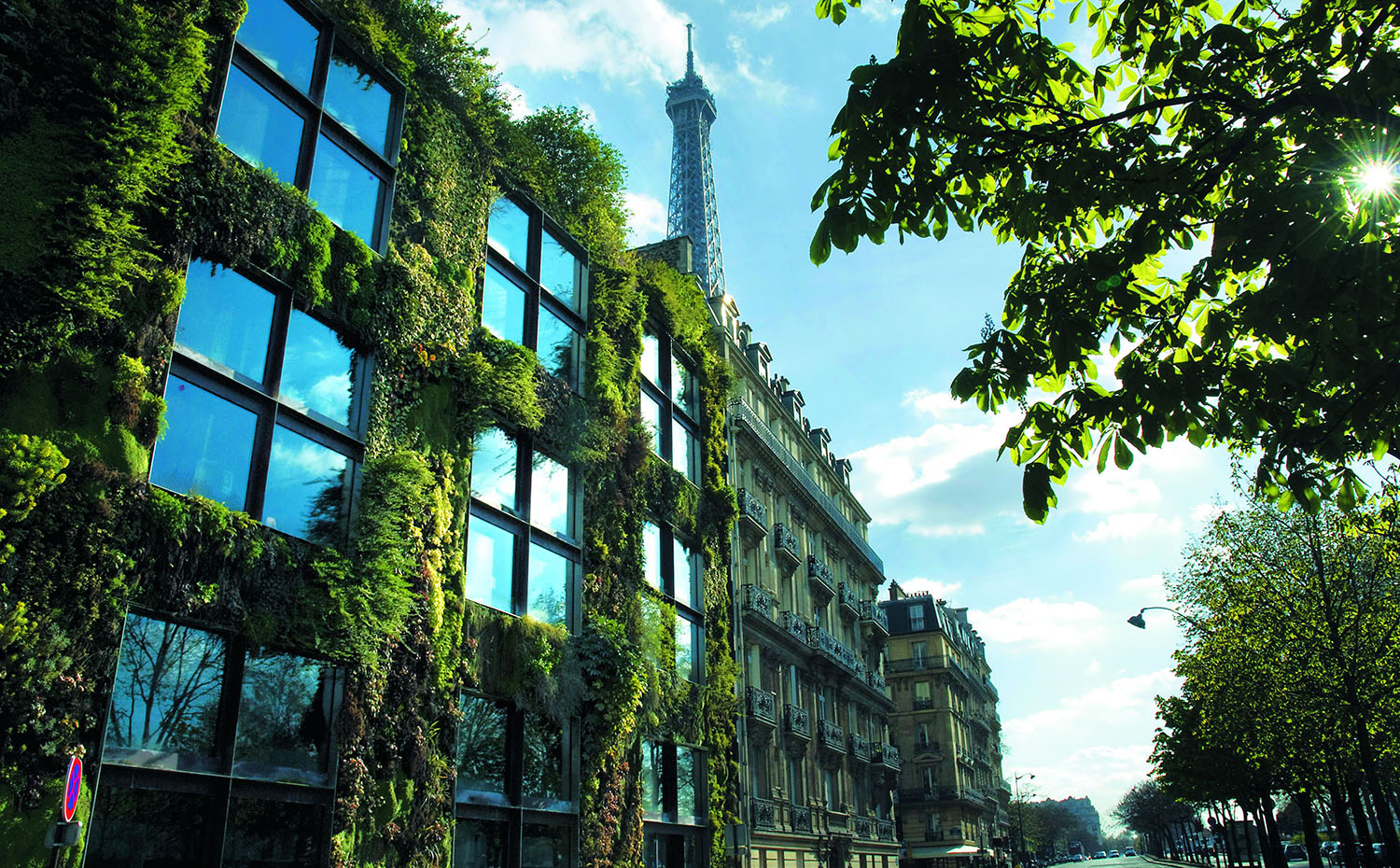 Musee du quai Branly Paris. Fachada vegetal del Museo du Quai Branly en París, de Patrick Blanc
