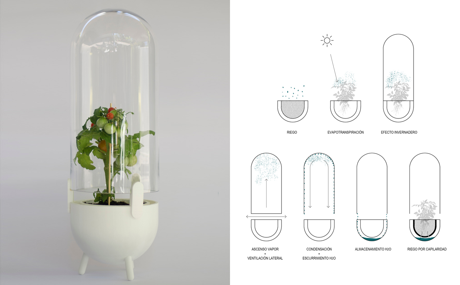 ATMO. Atmo, creado por los arquitectos Isidora Billeke, Iván Bravo y Andrea Alarcón y el diseñador Yerko Tank, es un sistema de captación de agua evaporada que replica el ciclo hidrológico natural. El dispositivo induce la evapotranspiración y luego la condensación para devolver el agua a su estado líquido y reutilizarla para el riego por capilaridad