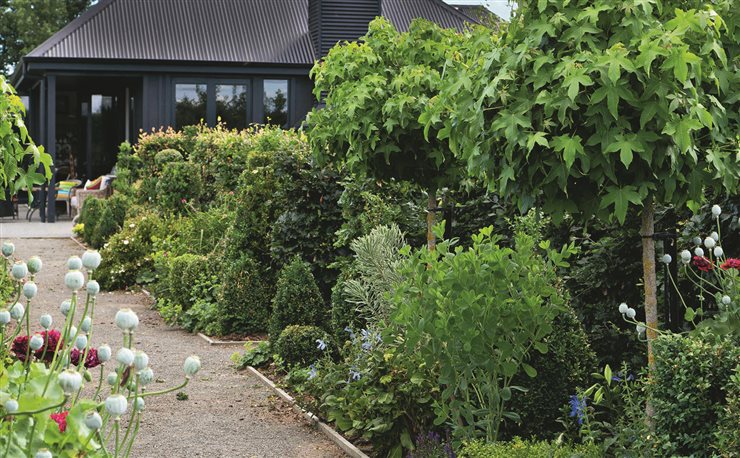 Las plantas que mejor combinan con el concepto de 'slow garden' son el musgo, los helechos, la hortensia malva, el magnolio soulangeana, las clemátides, los tilos y Acer freemanii