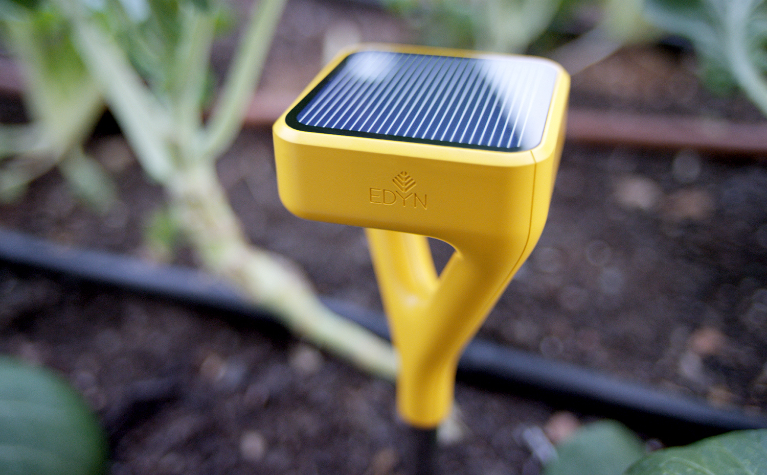 Edyn. Edyn es un sistema de monitoreo de las condiciones ambientales y del suelo para mejorar el cultivo de plantas. También funciona conectado a una aplicación para móvil