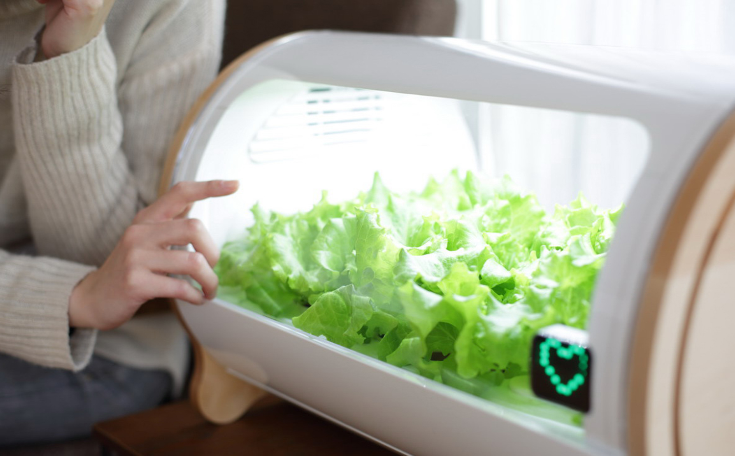 foop c'estec. Foop, de C'estec, es un sistema de cultivo hidropónico conectado a una aplicación para móvil