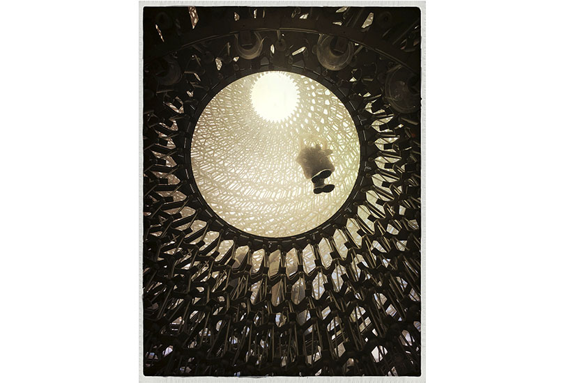 La fotografía ganadora en la edición de 2016, The Hive. Londres