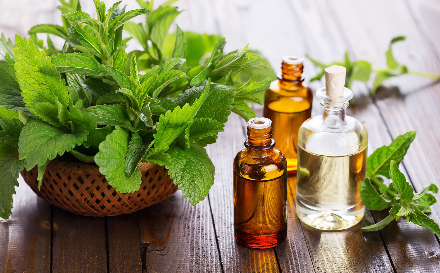 hierba buena. Según el perfumista Jimmy Boyd Jr., en un ambiente minimalista conviene utilizar olores lineales como musk en invierno o hierba fresca en verano. Si es colorista, mejor aromas relacionados con el naranjo, ya sea su flor (neroli), su fruta o su hoja (petitgrain)