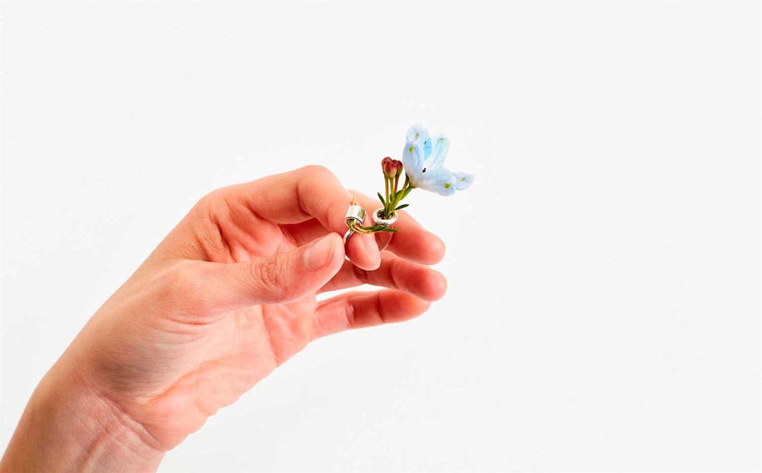 ga-hee-kang4. Anillo Ikebana