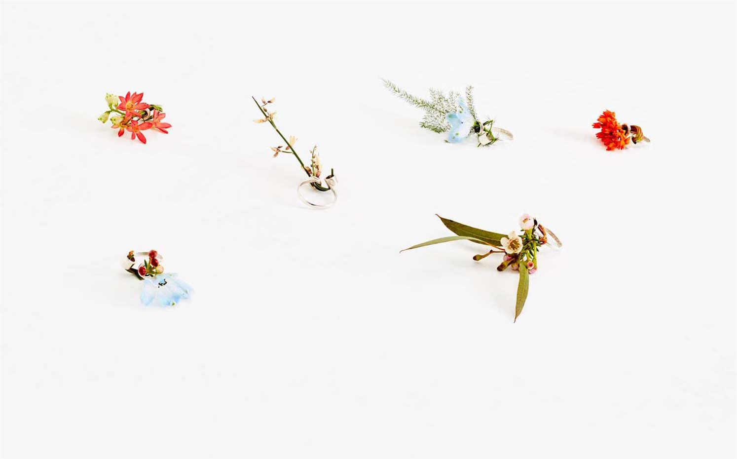 ga-hee-kang6. Anillo Ikebana