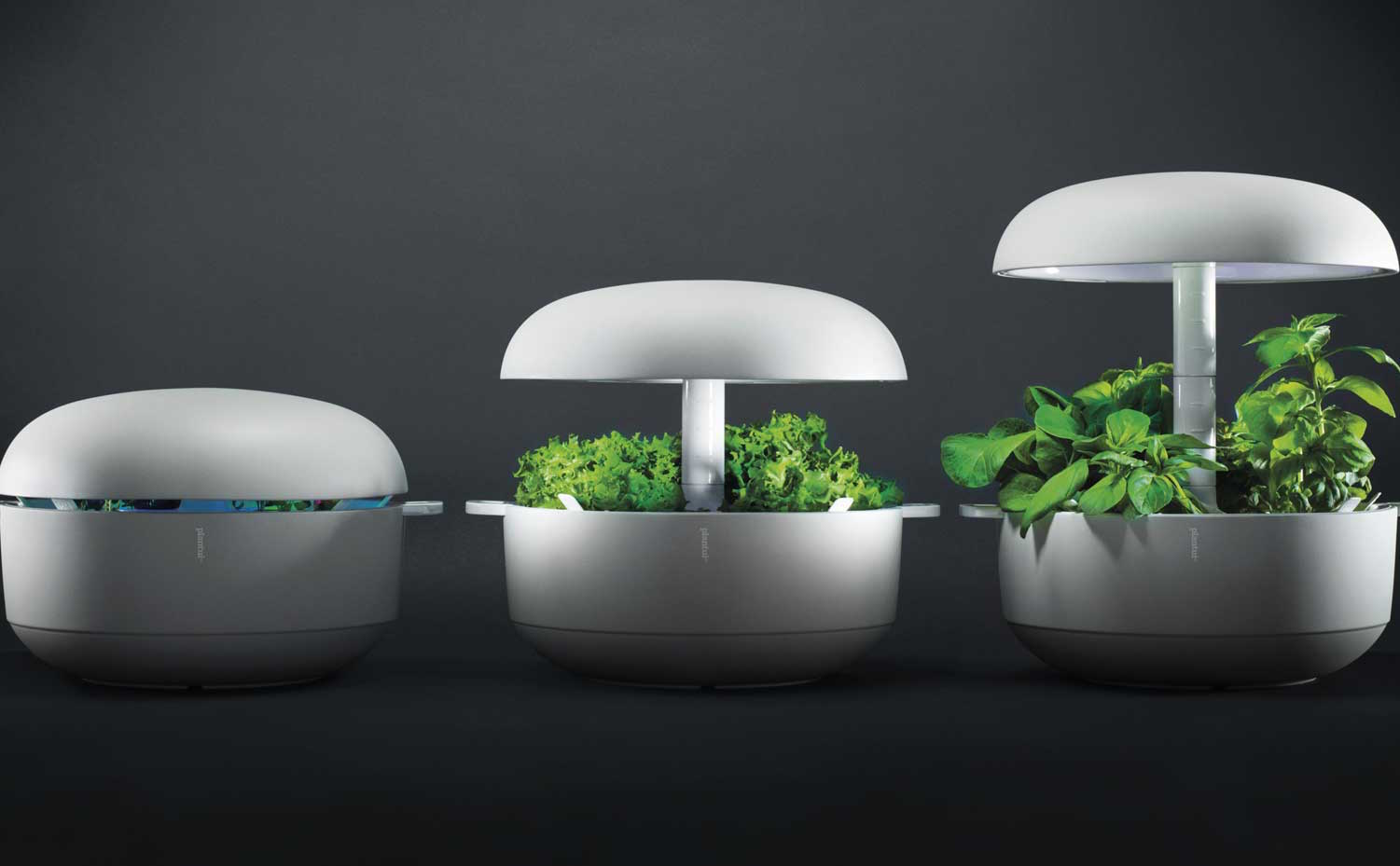Plantui-3-growth-phases. El huerto hidropónico Plantui ayuda a cultivar vegetales frescos en casa sin aporte de tierra y mediante un sistema de iluminación y riego automatizado