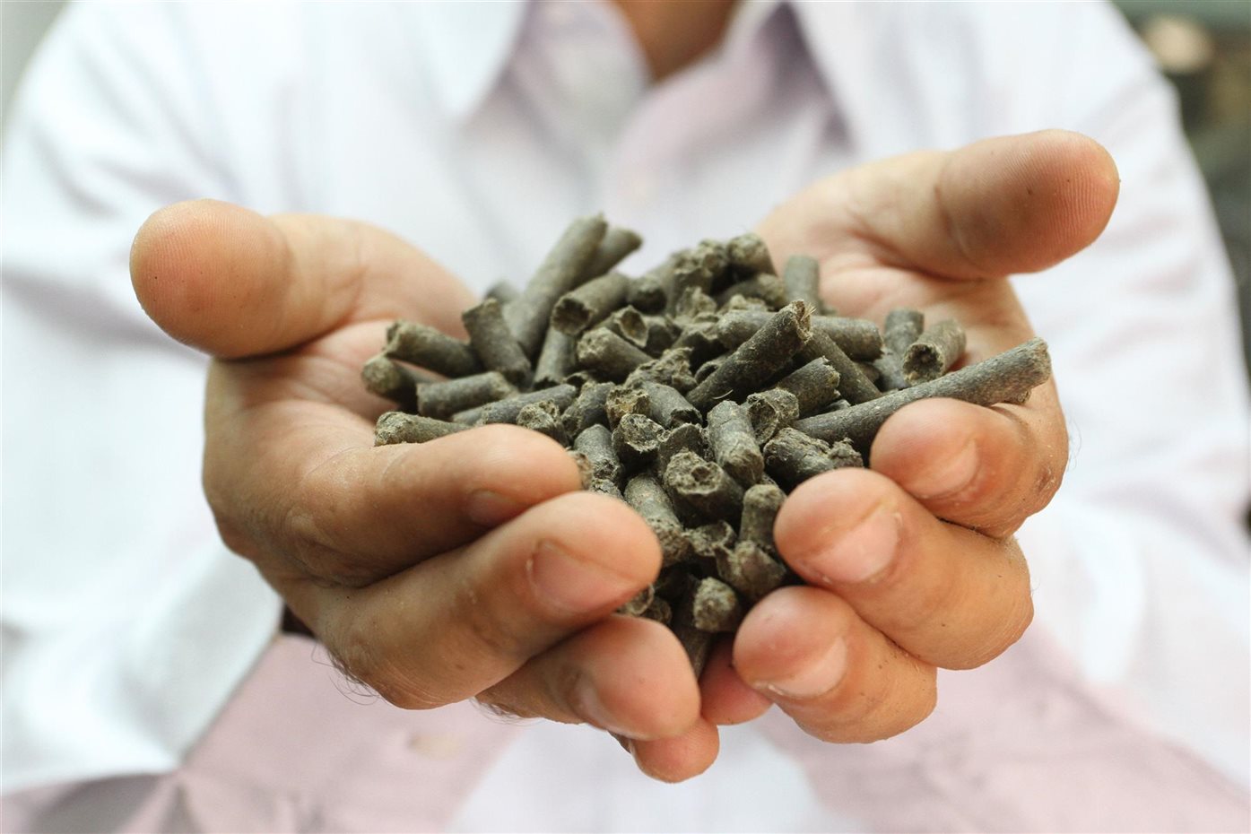 IMG 5310  2 . Recyllose (celulosa reciclada), de Applied Clean Tech, es un nuevo material procedente de los residuos mezclados que tiramos por el inodoro que puede aprovecharse para producir bioplásticos, energía y aislantes, evitando los costosos impactos ambientales y económicos de las aguas residuales