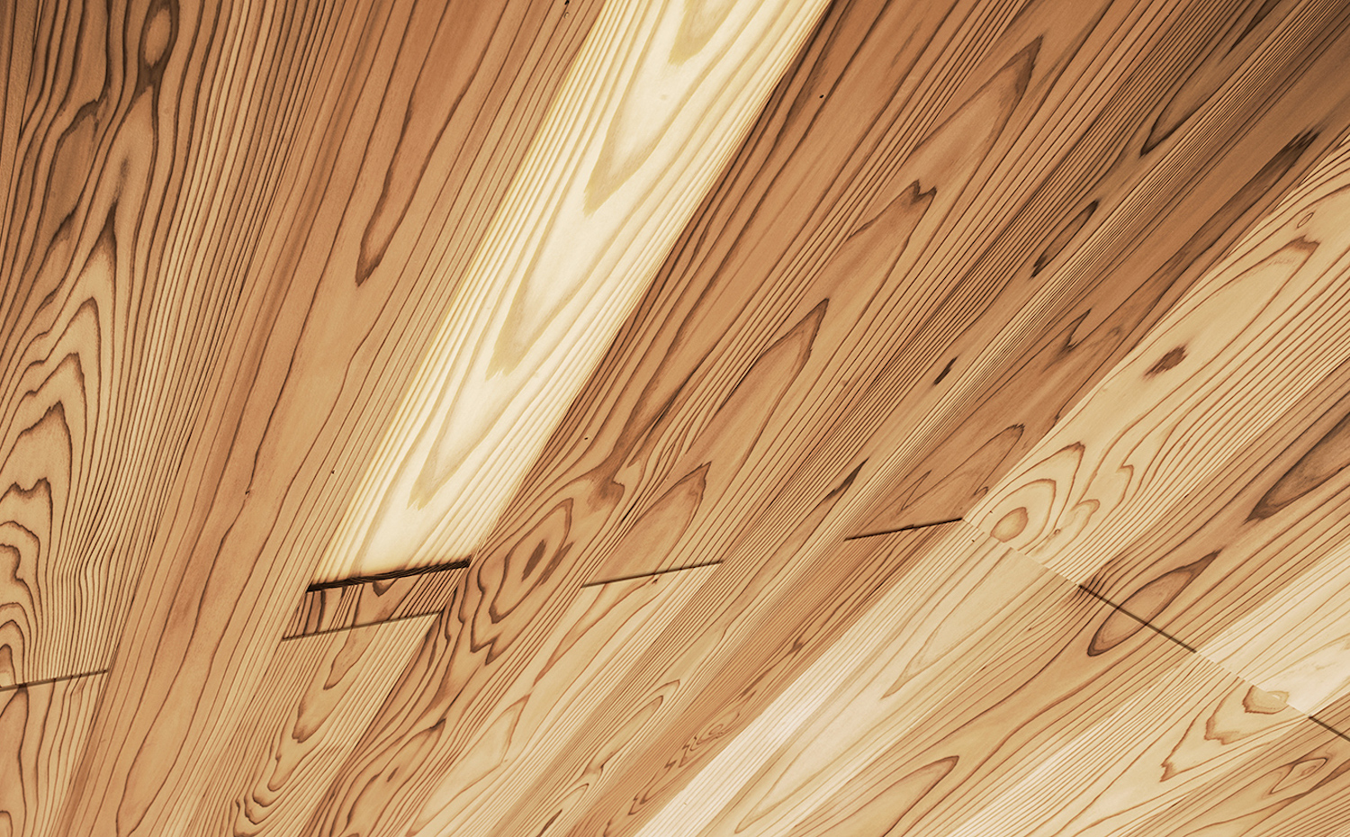 Yoshino Cedar House