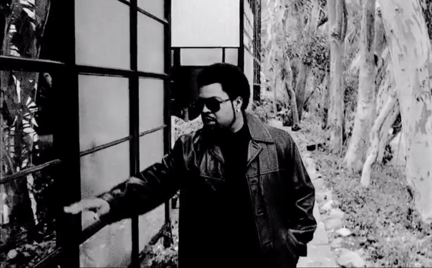 Ice Cube arquitectura